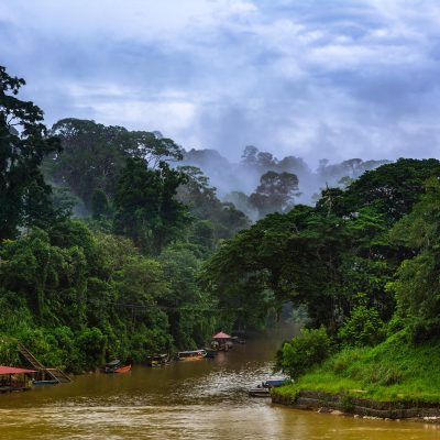 Taman Negara Day Trip