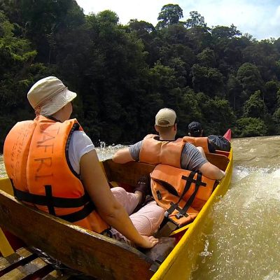 taman negara cameron highlands tour