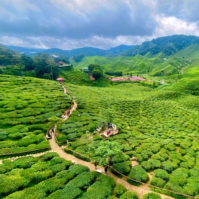 kuala lumpur to cameron highlands transfer