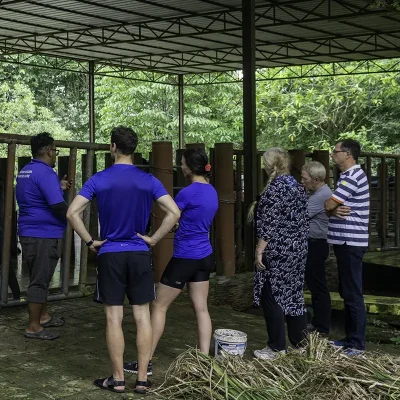 Nature guide leading an educational session for tourists at Kuala Gandah Elephant Sanctuary Tour in Malaysia.