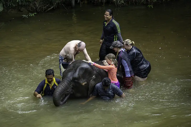 Family bathing with a baby elephant in Kuala Gandah Elephant Sanctuary, Malaysia, in a small group ethical session.