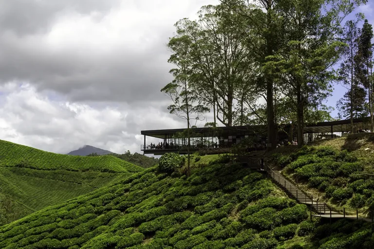 Modern café at BOH Tea Plantation Sungei Palas overlooking the tea valley in Cameron Highlands