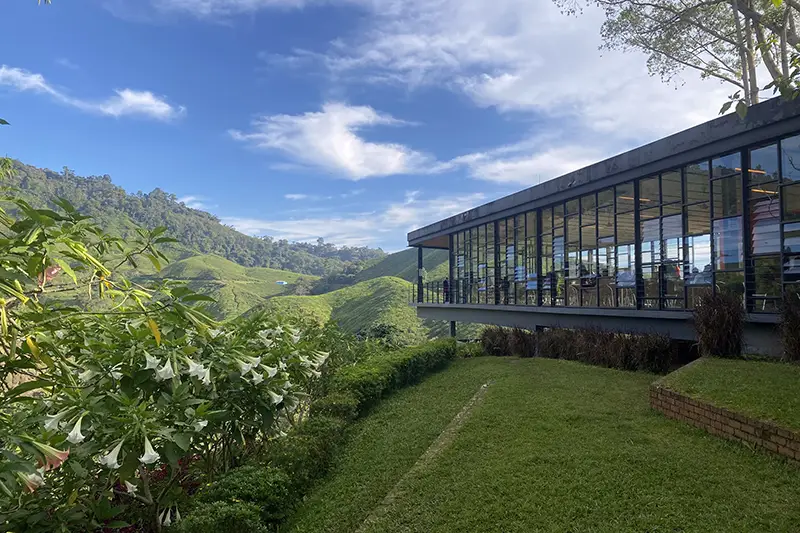 BOH Tea Café with panoramic views during a day trip to Cameron Highlands from KL