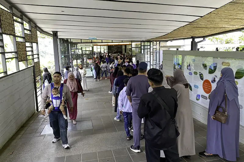 Long queue of visitors at BOH Tea Cameron Highlands tea plantation on a busy weekend