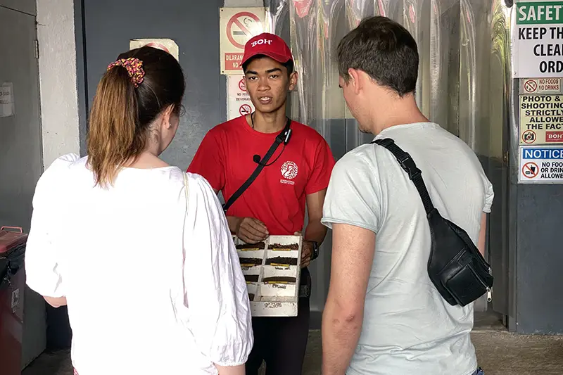 BOH Tea staff explaining tea leaf sizes during a factory tour in Sungai Palas—highlight of a day trip from Kuala Lumpur to Cameron Highlands