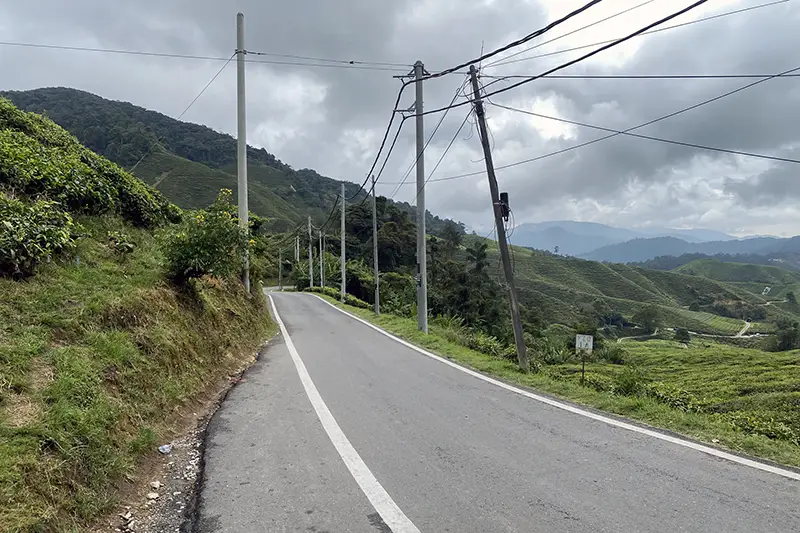 Narrow road leading to Sungai Palas BOH Tea Plantation, only accessible on a private day trip from Kuala Lumpur to Cameron Highlands