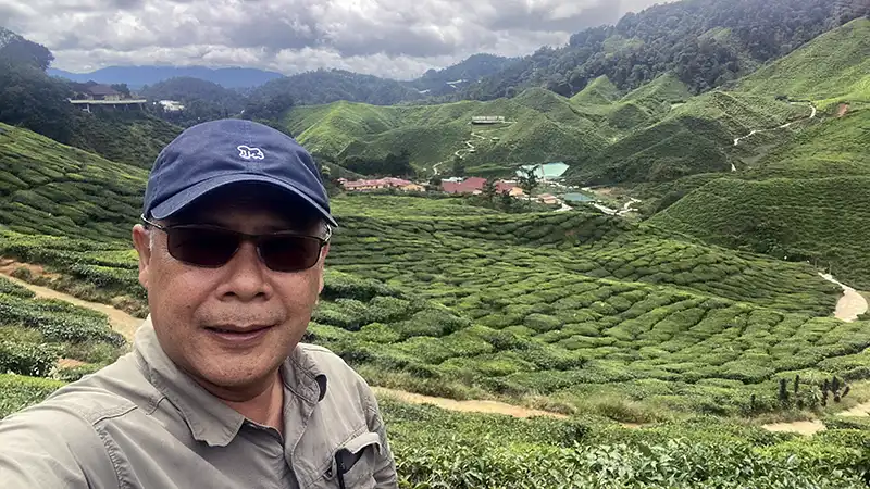 Local guide overlooking tea plantations in Cameron Highlands, Malaysia