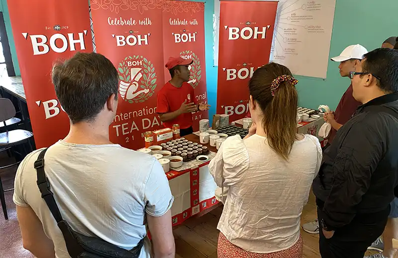 Tea tasting session at a tea plantation in Cameron Highlands with staff explaining different tea types