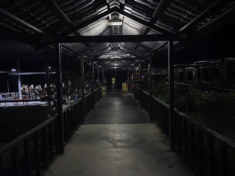 Covered walkway at Kampung Kuantan Firefly Park in Kuala Selangor at night