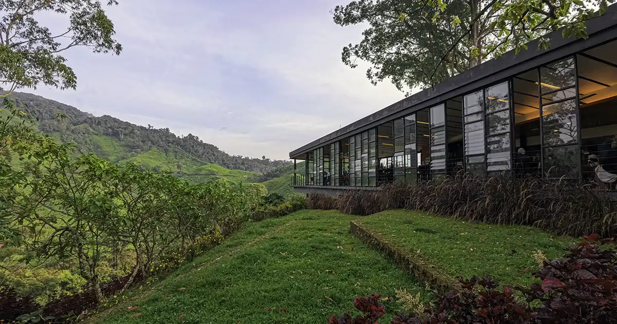 Scenic tea plantation landscape at BOH Tea Plantation, a popular day trip from Kuala Lumpur