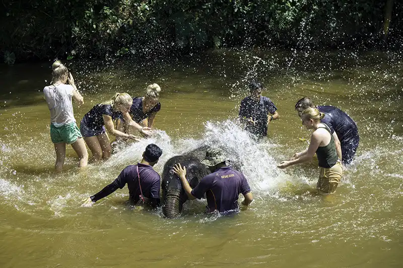 Visitors taking part in a supervised river session with elephants at Kuala Gandah in Pahang